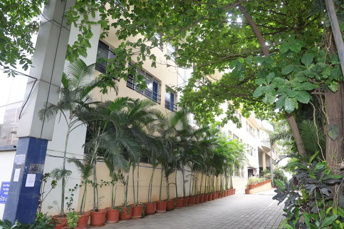 A tree-lined lane beside the college building, with the white wall and balconies of the block on the left.